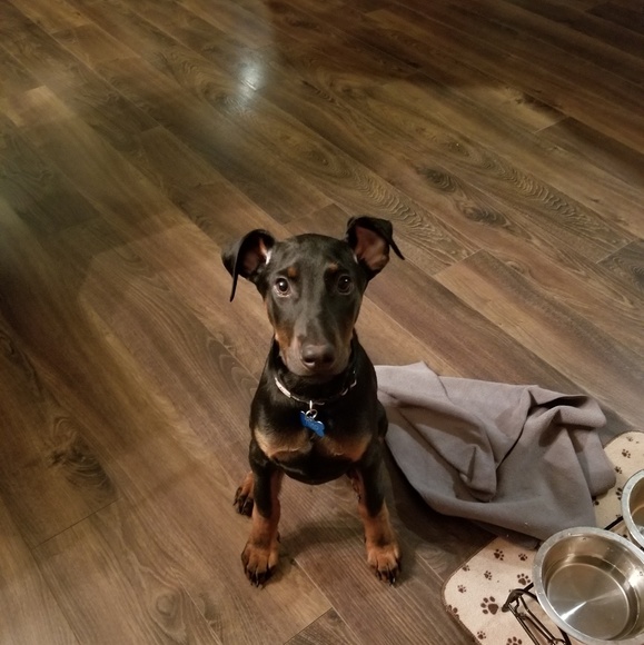 Meet your Posher, Bryan - Picture 1 of 1